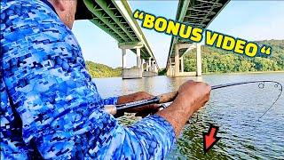 Catching Fish Under a BIG BRIDGE on the TENNESSEE RIVER !!