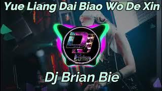 Yue Liang Dai Biao Wo De Xin 月亮代表我的心 Remix By Dj Brian Bie