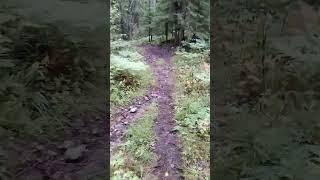 I did a 52km trail run (Himos Trail)