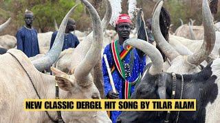 New Classic Dergel Hit Song By Tilar Alam