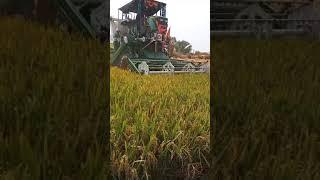 Cutting harvaster