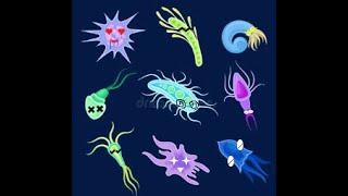 生物的演化
