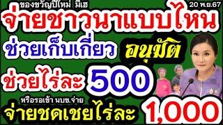 จ่ายชดเชยชาวนาไร่ละ500 ยกเลิกปุ๋ยคนละครึ่งทั่วประเทศ รอลุ้นเงินชาวนาเข้า นบข.ชุดใหญ่เพิ่มไร่ละ1000