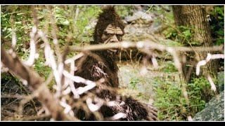 Vietnam War Rock Apes - Bigfoot or Big Fraud?