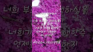 베드로후서1장10절말씀 #귀한말씀 #성경구절 #좋은글  #성경말씀 #성경구절암송 #은혜로운채널 #축복된삶