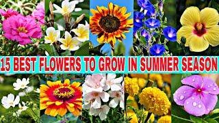 15 BEST SUMMER FLOWERS.....List of best summer flower plants...