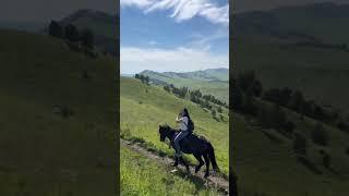 Horse riding in Altai️ #summer #russian