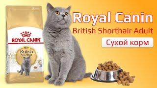 Сухой корм Royal Canin British Shorthair Adult для британских короткошерстных кошек