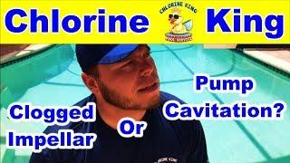 Pool Pump Cavitation or Clogged Impellar? - Chlorine King Pool Service