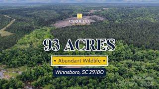 Stunning 93 Acre Homestead and Recreational Property for Sale #southcarolina