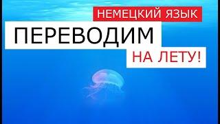 С немецким по жизни! Переводим с русского на немецкий: Вопросы, возвратные глаголы и т.д.