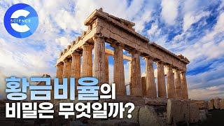 아름다움을 느끼는 이유가 황금비율 때문일까?