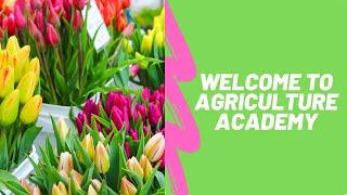 Welcome to Agriculture Academy