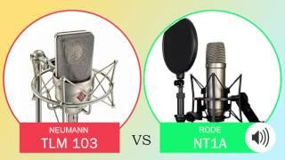 Neumann TLM 103 vs Rode NT1A