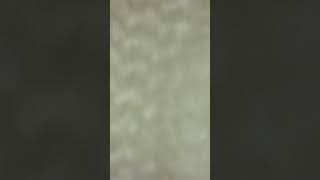 프로텍트어베드 고주파 누빔 매트리스방수커버를 1800배 확대해서 본다면 !?