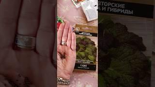 Моя любимая горчица "Садко" #рекомендации #shortvideo #советы #горчица