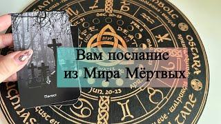 Вам послание из Мира Мёртвых. Таро расклад.