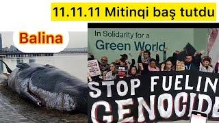 11.11.11 Mitinqi baş tutdu. İnsanlar COP29 etiraz edir. Balina və axmqq xalq