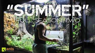 "Summer" Full Season Two Compilation - The AntsCanada Ecosystem Vivarium Series