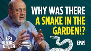 Questions on Science, Evolution and Genesis with your favourite theologian | Ask NT Wright Anything