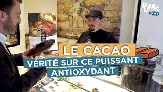 Quels sont les vrais bienfaits du cacao pour la santé ?