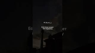 Мухаммад Люхайдан / сура "Али-Имран" аяты 159-160 #чтениекорана #люхайдан #коран #quran #islam #قرآن