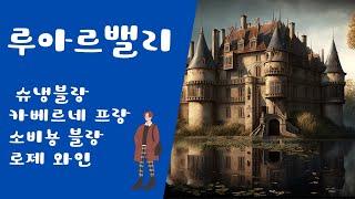 루아르밸리의 슈냉블랑, 소비뇽블랑 등의 품종과 상세르, 부브레를 비롯한 산지, 그리고 로제와인과 귀부 와인,  쉬르 리 와인