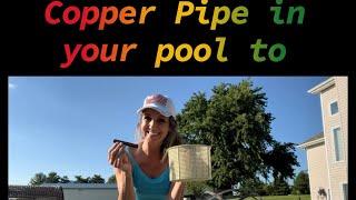 copper pipe in your swimming pool to remove algae. #copperinpool #poolcleaning #copperpipe #poolhack