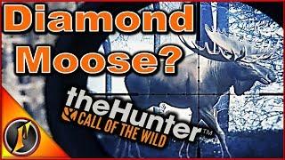 A Diamond Moose? w/ ZaggiDK | theHunter: Call of the Wild 2018