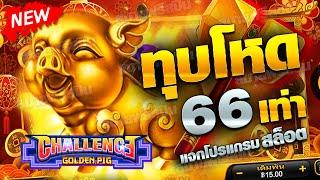 UFABET สล็อต Challenge Golden Pig โบนัสหมูทองคำ ทุบโหด 66 เท่า!!