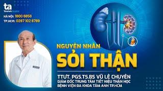 Sỏi thận: Nguyên nhân gây bệnh và cách chẩn đoán ra sao? |  TTƯT.PGS.TS.BS Vũ Lê Chuyên