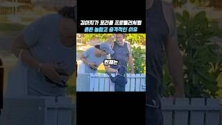 강아지가 꼬리를 프로펠러처럼 흔든 놀랍고 충격적인 이유