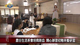 20240625 南投縣議會 民議新聞 鹿谷生活茶會培育新血 精心辦理初階茶藝研習