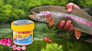 Trout fishing the Chattahoochee River at Buford Dam Park! (Berkley Powerbait)