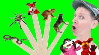 Halloween Spooky Animals Part 2 | Pop Sticks Song with Matt | Dream English Kids