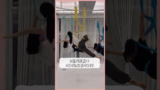 플라잉요가 - 비둘기(초급)/사다리6(오금사다리)/다빈치  #검정발바닥