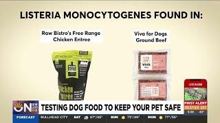 Testing the best dog food to keep your pet safe in 2025