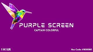 Purple Screen! 1 Hour - Hex Code: #800080 (HD)