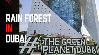 GREEN PLANET DUBAI | RAIN FOREST IN DUBAI | CITYWALK | PLACES TO VISIT IN UAE |