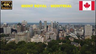 Mont Royal, Montréal | Mount Royal, Montreal | Walking Tour (4K)