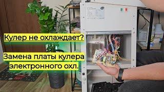 Кулер для воды не охлаждает: Замена платы управления кулера с электронным охлаждением. Ремонт самому