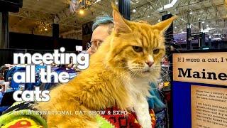 Meeting all the Cats  | CFA International Cat Show & Expo 2023