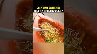 상처에 올려놓은 구더기가 사람을 살린다고?