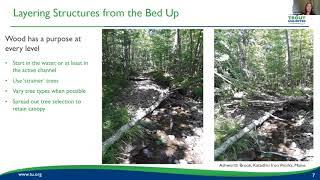 Strategic Wood Addition and Low-Tech Process-Based Stream Restoration