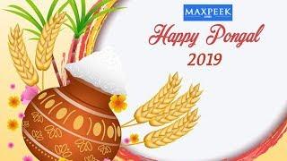 Maxpeek Pongal wishes 2019. | Enjoy Shopping!!!!