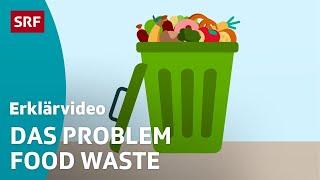 Food Waste: Verschwendung von Lebensmitteln – einfach erklärt | Kindervideos | SRF Kids