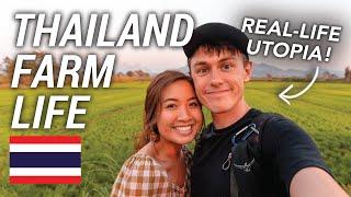 Organic Farm Stay in Thailand: Eco-Tourism at Its Best 