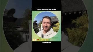 В Корее собак больше, чем детей (наглядно)