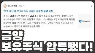 [개잡주] 금양 12편 | 결국은 주식 압류당해버린 광지사마