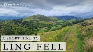 Lake District Walks: Ling Fell